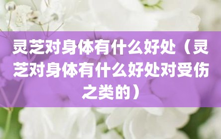 灵芝对身体有什么好处（灵芝对身体有什么好处对受伤之类的）