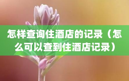 怎样查询住酒店的记录（怎么可以查到住酒店记录）