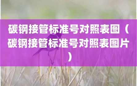 碳钢接管标准号对照表图（碳钢接管标准号对照表图片）