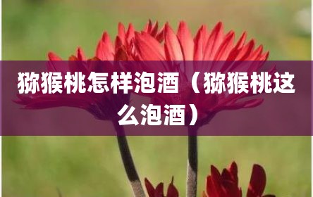 猕猴桃怎样泡酒（猕猴桃这么泡酒）