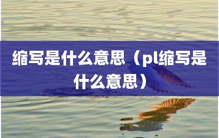 缩写是什么意思（pl缩写是什么意思）