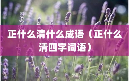 正什么清什么成语（正什么清四字词语）