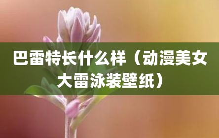 巴雷特长什么样（动漫美女大雷泳装壁纸）