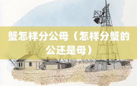 蟹怎样分公母（怎样分蟹的公还是母）