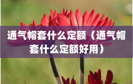 通气帽套什么定额（通气帽套什么定额好用）