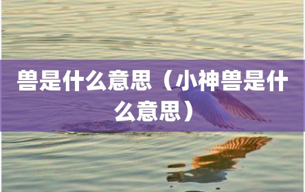 兽是什么意思（小神兽是什么意思）