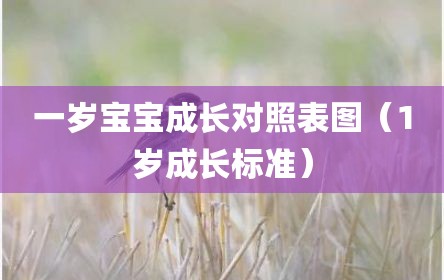 一岁宝宝成长对照表图（1岁成长标准）