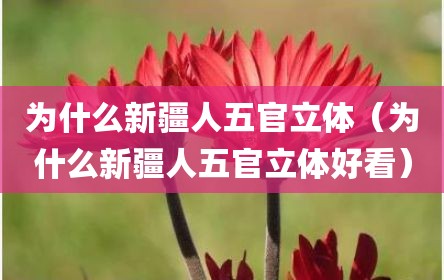 为什么新疆人五官立体（为什么新疆人五官立体好看）