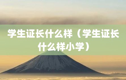 学生证长什么样（学生证长什么样小学）