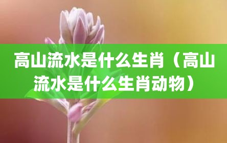 高山流水是什么生肖（高山流水是什么生肖动物）