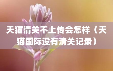 天猫清关不上传会怎样（天猫国际没有清关记录）