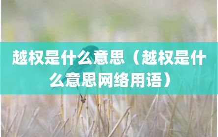 越权是什么意思（越权是什么意思网络用语）