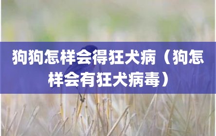 狗狗怎样会得狂犬病（狗怎样会有狂犬病毒）