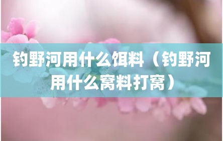 钓野河用什么饵料（钓野河用什么窝料打窝）