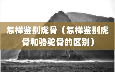 怎样鉴别虎骨（怎样鉴别虎骨和骆驼骨的区别）