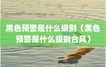 黑色预警是什么级别（黑色预警是什么级别台风）
