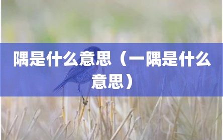 隅是什么意思（一隅是什么意思）