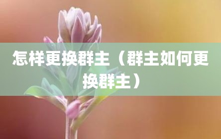 怎样更换群主（群主如何更换群主）