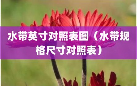 水带英寸对照表图（水带规格尺寸对照表）