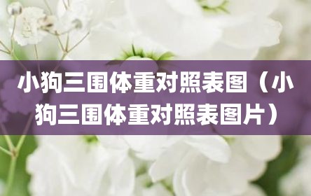 小狗三围体重对照表图（小狗三围体重对照表图片）