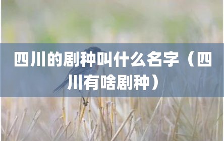 四川的剧种叫什么名字（四川有啥剧种）
