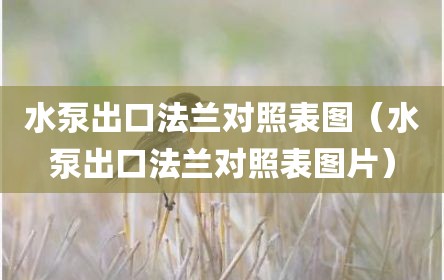 水泵出口法兰对照表图（水泵出口法兰对照表图片）