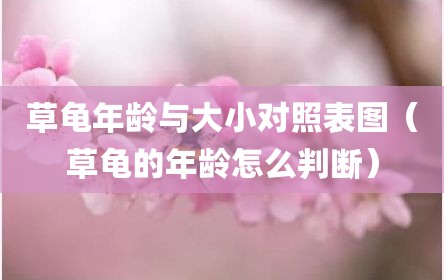 草龟年龄与大小对照表图（草龟的年龄怎么判断）