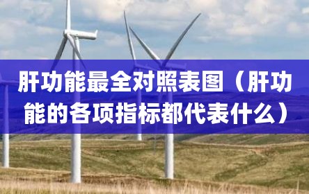 肝功能最全对照表图（肝功能的各项指标都代表什么）
