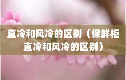 直冷和风冷的区别（保鲜柜直冷和风冷的区别）