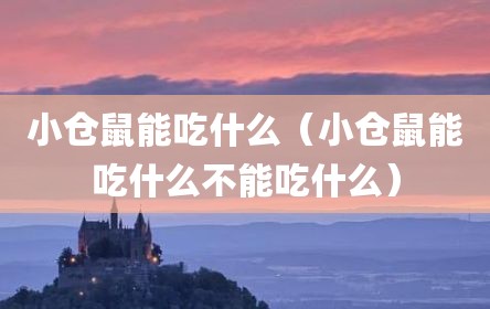 小仓鼠能吃什么（小仓鼠能吃什么不能吃什么）