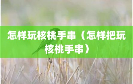 怎样玩核桃手串（怎样把玩核桃手串）