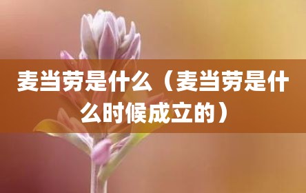 麦当劳是什么（麦当劳是什么时候成立的）