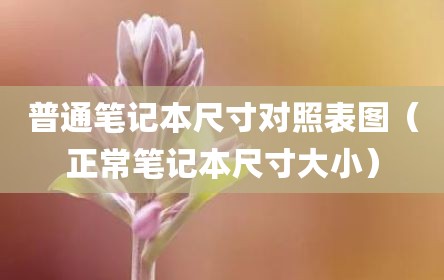 普通笔记本尺寸对照表图（正常笔记本尺寸大小）
