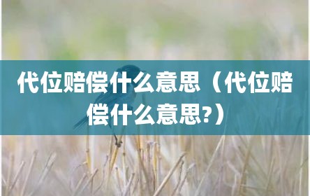 代位赔偿什么意思（代位赔偿什么意思?）