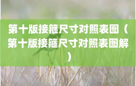 第十版接箍尺寸对照表图（第十版接箍尺寸对照表图解）
