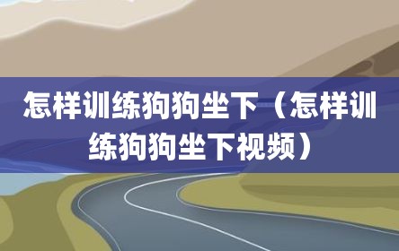 怎样训练狗狗坐下（怎样训练狗狗坐下视频）