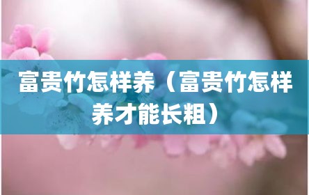 富贵竹怎样养（富贵竹怎样养才能长粗）