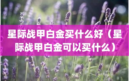 星际战甲白金买什么好（星际战甲白金可以买什么）