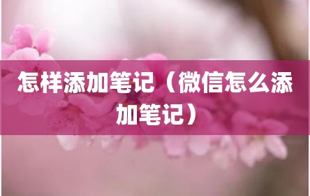 怎样添加笔记（微信怎么添加笔记）