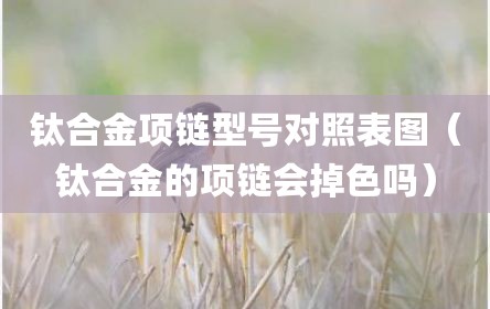 钛合金项链型号对照表图（钛合金的项链会掉色吗）