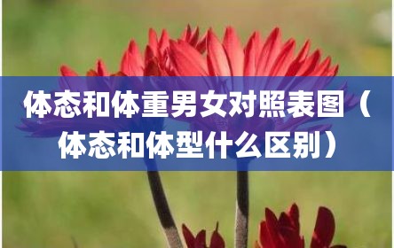 体态和体重男女对照表图（体态和体型什么区别）