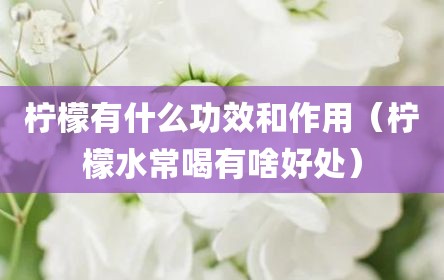 柠檬有什么功效和作用（柠檬水常喝有啥好处）