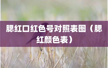 腮红口红色号对照表图（腮红颜色表）