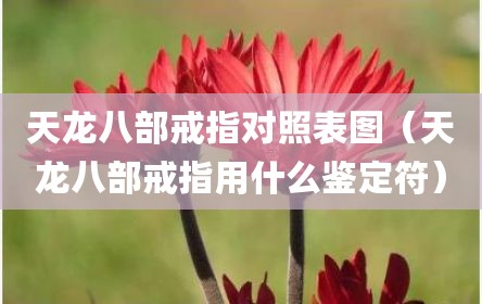 天龙八部戒指对照表图（天龙八部戒指用什么鉴定符）
