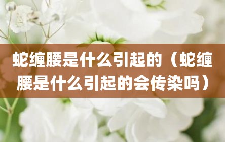 蛇缠腰是什么引起的（蛇缠腰是什么引起的会传染吗）