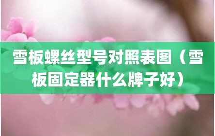 雪板螺丝型号对照表图（雪板固定器什么牌子好）