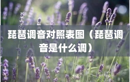 琵琶调音对照表图（琵琶调音是什么调）