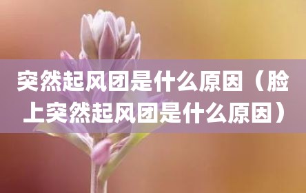 突然起风团是什么原因（脸上突然起风团是什么原因）