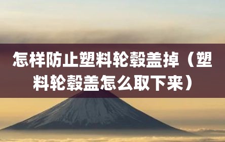 怎样防止塑料轮毂盖掉（塑料轮毂盖怎么取下来）