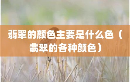 翡翠的颜色主要是什么色（翡翠的各种颜色）